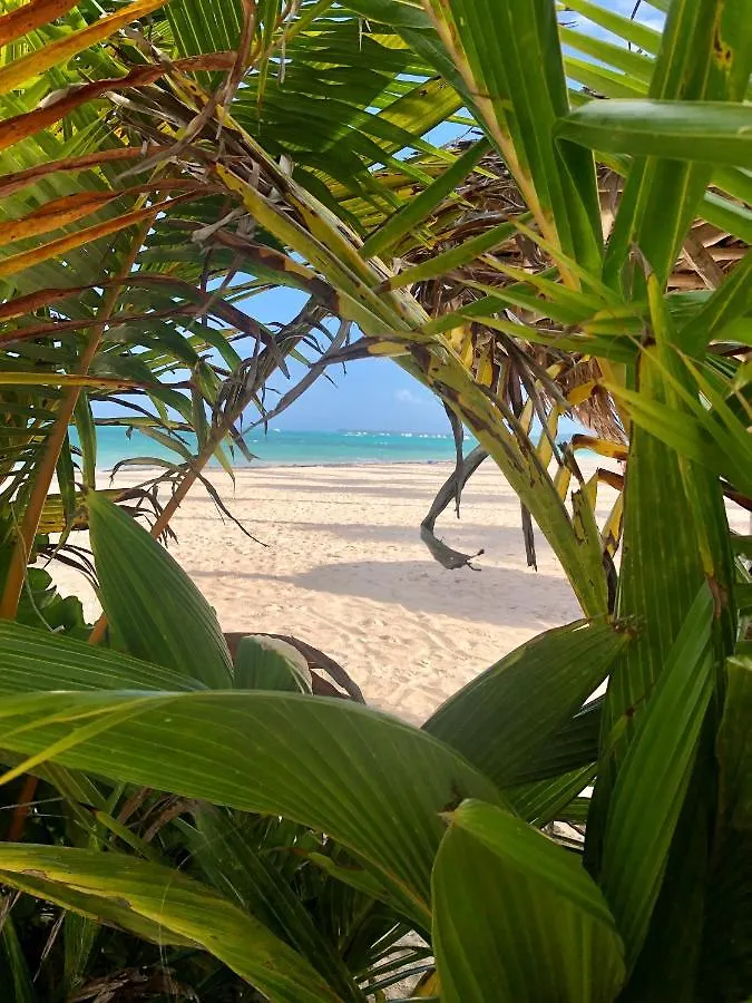 Las Terrazas Pool View Villas Bavaro Beach Club & Spa Punta Cana